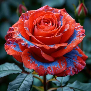 Роза Сикрет Гарден купить по цене от 619р. в интернет-магазине «Посадика» с доставкой почтой в в Пыталовое и по всей России – [изображение №1].